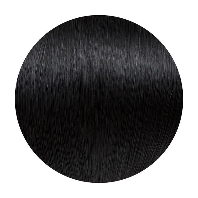 Midnight Ponytail