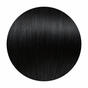 Midnight Ponytail